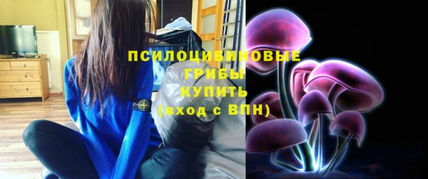 сатива Аркадак