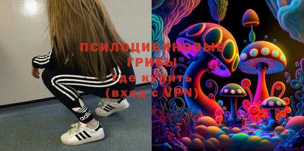 сатива Аркадак