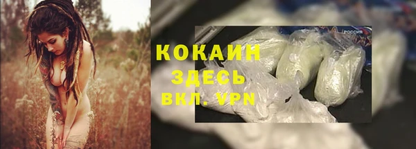 мяу мяу мука Арсеньев