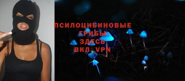 мяу мяу мука Арсеньев