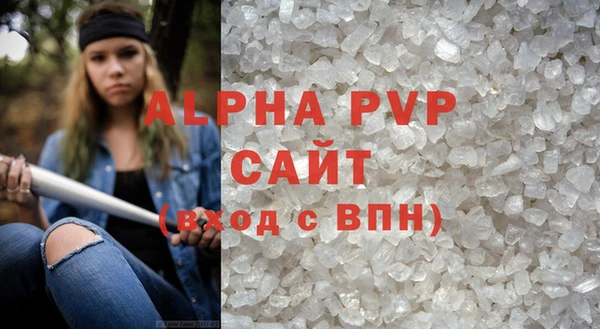 сатива Аркадак